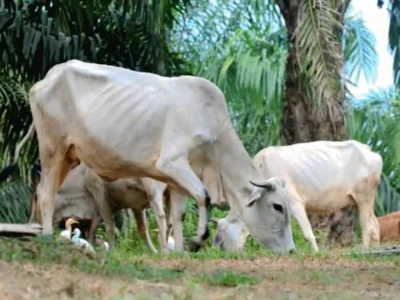 galeri-desa-sinunukan-iii-10-68523d0e23ab9